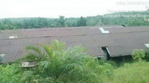 Azrori DPRD Kuansing Sebut PT.TBS Di Luar HGU Diduga Menggarap Hutan Lindung.