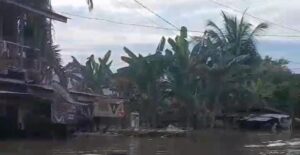 Seminggu Terendam Banjir, Kondisi Masyarakat Desa Pulau Siapan Inuman Sangat Memprihatinkan.