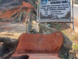 Peran Pangulu Dibalik Penebangan ‘Liar’ Pohon Mahoni SDN 095560 Karang Rejo