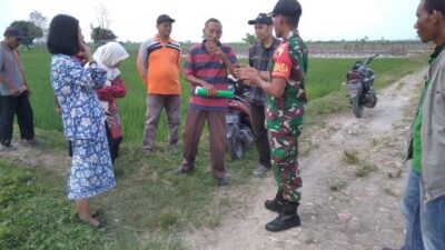 Kepala DKPP Bojonegoro Turun ke Areal Persawahan Kecamatan Sumberrejo