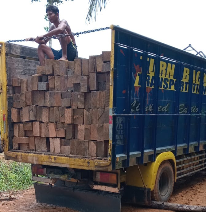 Kegiatan Illegal Loging Di Sandai Masih Tetap Berjalan Trus, Diduga Keras Ada APH Di Belakangnya