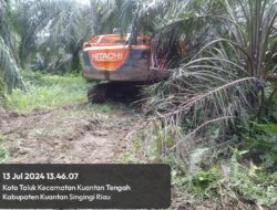 Aktivitas Tambang Emas Ilegal di Duga Kebal Hukum Beroperasi Skala Besar Menggunakan Excavator.