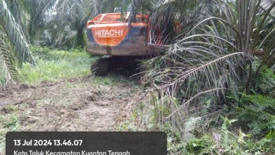 Aktivitas Tambang Emas Ilegal di Duga Kebal Hukum Beroperasi Skala Besar Menggunakan Excavator.