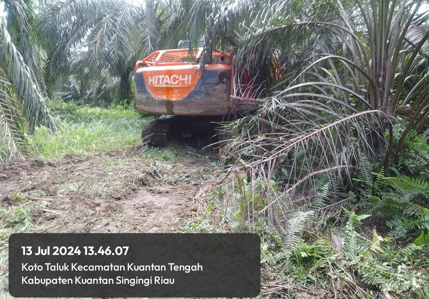 Aktivitas Tambang Emas Ilegal di Duga Kebal Hukum Beroperasi Skala Besar Menggunakan Excavator.