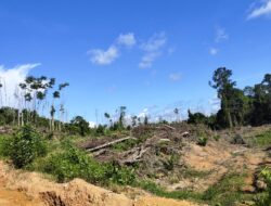 Gakum DLHK Riau Jangan Diam Transaksi Mafia Tanah Kawasan di Indragiri Hulu.