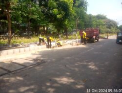 Kegiatan Proyek Pemasangan Batu Trotoar Kampus Trisakti Perlu di Tindak